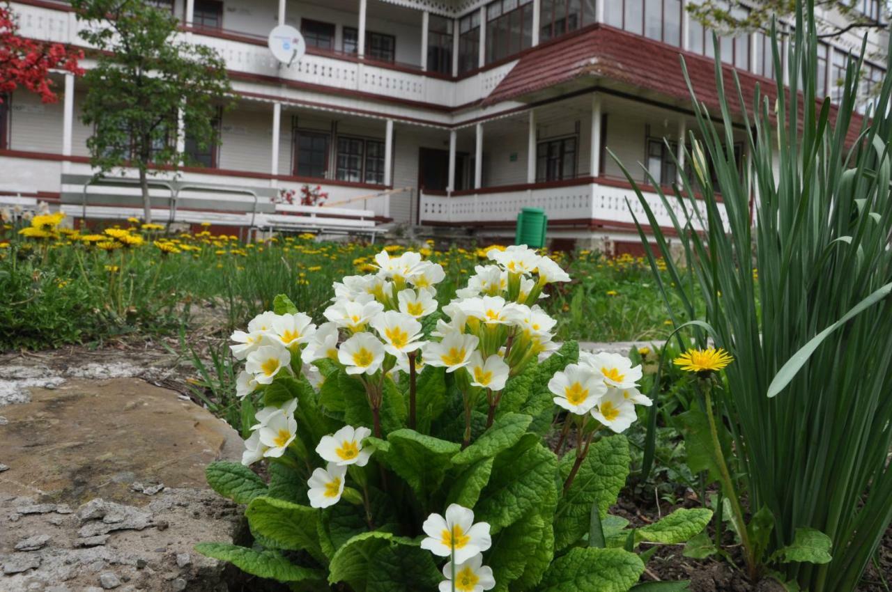 Villa Padurea De Argint Văratec Exterior foto